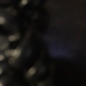 Meet your Posher, Bonnie